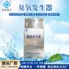 Equipo de Desinfección para Tratamiento de Aguas Residuales Precio de Maquinaria Shandong Fabricante de Generador de Ozono de Fuente de Aire Grande