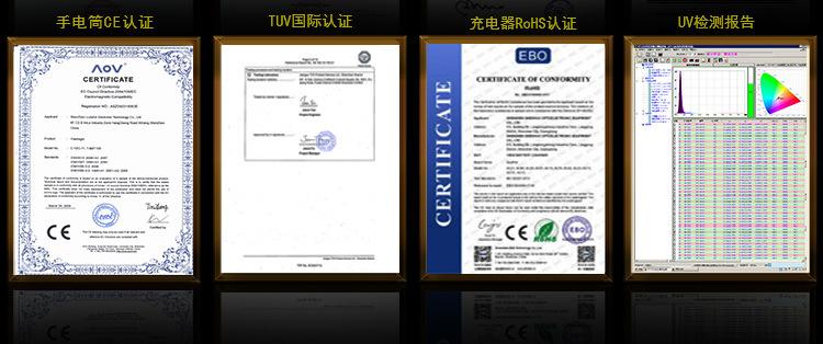 公司实力5.jpg