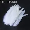 Colección de Productos de Plumas Blancas al Por Mayor DIY Hecho a Mano Accesorios de Ropa de Plumas Joyería Material Pluma de Ganso Pluma de Pavo