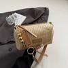 Versão Coreana Ins Bolsa da Moda Tecida para Mulheres 2025 Verão Novo Simples Moda Elegante Bolsa de Ombro Tecida de Palha para Mulheres