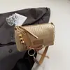 Versión Coreana Ins Bolso Tejido de Moda para Mujer 2025 Verano Nuevo Simple Moda Elegante Bolso de Hombro Tejido de Paja para Mujer