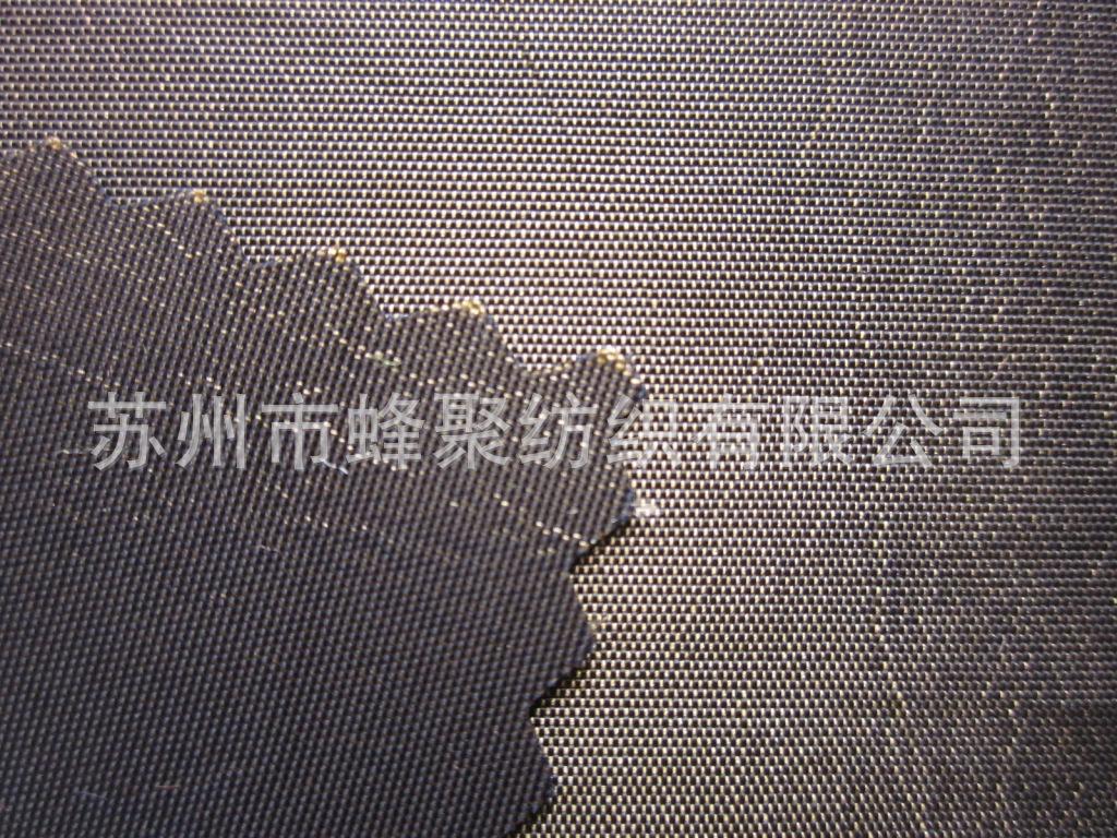 IMG_1617