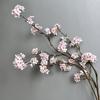 Flor de Pera de Galho Longo Tecido de Seda Floral Chinês Flor de Pera Simulada Decoração de Casa Suprimentos para Casamento Galho de Flor de Cerejeira Galho de Flor de Ameixa de Inverno
