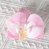 Borboleta orquídea flor cabeça simulação flor acessórios de parede flor diy handmade decoração de casamento flor flap hairpin cocar material