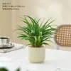 Clorofito em vaso com bordas douradas para salas de estar e escritórios internos, uma planta verde de mesa com longos ramos pendentes, sempreverde e fácil de manter