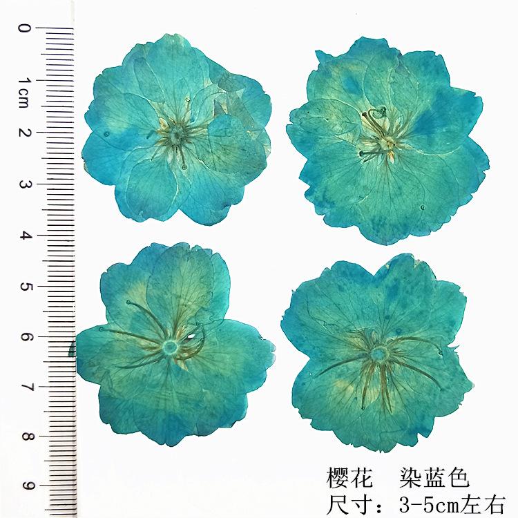 IMG20190623132827.jpg