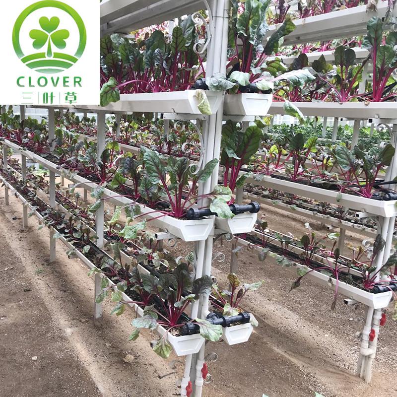 微信图片_20200829091904