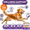 Productos Populares Transfronterizos para la Salud de Mascotas Multivitamínico Condroitina Soporte para Cadera y Articulaciones Inmunidad Saludable