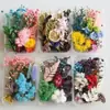 Envío Gratis 30 Piñas Flores Secas Decorativas Hecho a Mano Paquete de Materiales Creativos DIY Decoración del Hogar Ramas Secas Piñas Escama de Pez