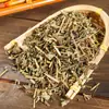 Rubescens Rubescens Guangxi Bing Lingcao Junio Ling Po Hexue Dan Mingjingcao Venta al por mayor Gran cantidad de