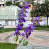 Nueva simulación flor campanilla delphinium comercio exterior 2 horquillas flor Qianxun guía de camino de boda decoración de techo flor artificial venta al por mayor