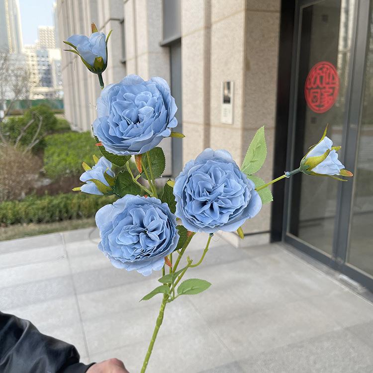 7头单支奥斯丁玫瑰-sxwlx-雾蓝.JPG