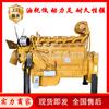 Maquinaria de Construcción Weichai WD10G220E21 Camión Pesado Howo Motor WP12 WP10 Motor de Camión Pesado
