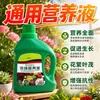 Solución nutritiva planta universal rábano verde rico bambú árbol de la fortuna carnoso cultivo de agua flores plantas verdes maceta flor fertilizante