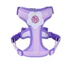 Guia de Cachorro para Cães Pequenos, Teddy, Bichon, Spitz Alemão, Coleira Peitoral, Guia para Passeio de Filhote, Corrente para Cachorro