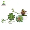 Simulación planta suculenta súper grande tamaño pequeño suculenta bonsái planta verde flor de plástico en maceta micro paisaje con pared vegetal