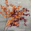 Cifrado de color otoñal orquídea Wenxin de rama alta boda simulación adorno floral colgante orquídea Wenxin importación transfronteriza flor de seda de simulación