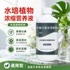 Solução Nutritiva Concentrada para Plantas Hidropônicas Especial para Melhorar Folhas Amareladas, Enraizamento, Promover Flores, Folhas Brilhantes, Bambu da Sorte, Bambu da Sorte, Tulipa
