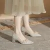 Sapatos femininos CH60-40 de camada única com lantejoulas e salto grosso, dourados Femininos 2024 novos primavera e outono sexy bico fino decote baixo salto alto