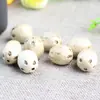 Semente de Bodhi de Seis Vias e Cinco Olhos Sementes Originais Fruta de Cinco Olhos Jujuba Selvagem do Sul Acessórios de Contas para Pulseira DIY Fábrica de Contas