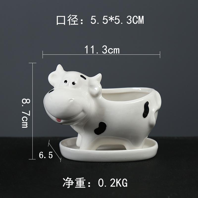 分类4