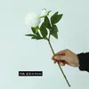 Estilo europeo de una rama 2 cabezas tela de seda peonía peonía flor artificial para el hogar boda decoración adornos alta sensación flor de simulación venta al por mayor