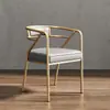 Silla de Comedor de Hierro Forjado de Lujo Nórdico Silla con Respaldo para el Hogar Silla de Ocio Moderna para Restaurante Celebridad de Internet Silla de Oficina para Restaurante de Hotel