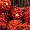 Sopro de Dragão Carolina Reaper Pimenta Seca Diabo Indiano Pimenta Rei Super Picante
