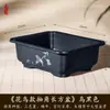 Maceta Rectangular Pequeña de Resina para Uso Doméstico, Cerámica de Imitación Arena Púrpura, Adecuada para Plantas Verdes, Bonsái de Árbol de Banyan, Venta al por Mayor