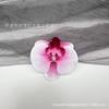 Pinza para el pelo de una sola cabeza con simulación de Phalaenopsis 3D, estilo europeo, con forma de mariposa y flor, accesorios para el pelo, tocado DIY, pinza de pico de pato, pinza lateral