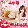 Seleccionado CuidadosamenteLiaocheng Fengshui Pera de Shandong Dropshipping Caja de Regalo de 6 Piezas Fruta Individual 300g+ Pera Fruta Fresca