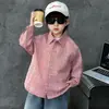 Conjunto de Camisa de Cuadros Finos para Niños Primavera y Otoño, Conjunto Casual Elegante de Dos Piezas Estilo Coreano para Niños, Ropa de Bebé de Moda