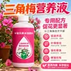Fertilizante Especial para Floração de Buganvílias Promove Floração Floração Abundante Quatro Estações Estimula Floração Plantas de Vaso Buganvílias Solução Nutritiva