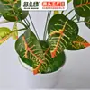 Planta de Simulación Planta Verde Planta en Maceta Hojas Falsas Decorativas Siete Puntas Cambia de Color Material de Pared a Juego Planta de Madera Pegamento para Flores Falsas Hojas con Tacto