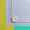 Accesorios de Resina de Flor con Gradiente de Simulación de Rostro Brillante Clip de Agarre para Cuerda de Cabeza de Funda de Teléfono Móvil Parche para Taza de Agua