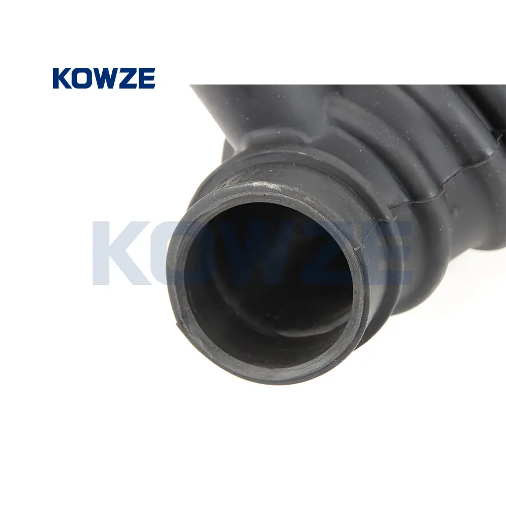 1505A376 CUS (3)