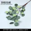 Flor Verde Atacado Decoração de Casamento na Floresta Folhas Folhas Verdes Flores de Seda Flores de Casamento Grama de Papiro Plantas Verdes