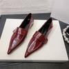Novos Sapatos Femininos de Salto Baixo Bico Fino Estilo Europeu e Americano para Primavera e Outono de 2025 com Design Único e Velcro para Deslocamento e Uso Profissional