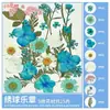 Ímãs de Geladeira Magnéticos de Flores Secas Feitos à Mão, Azulejos Quadrados Transparentes DIY com Folhas Magnéticas, Kit de Material DIY de Acrílico
