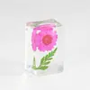 Flores Secas Pueblo del Libro Artesanías de Resina Especímenes de Plantas Materiales Didácticos para Estudiantes Adornos de Pegamento de Flores Inmortales Recuerdos de Viaje