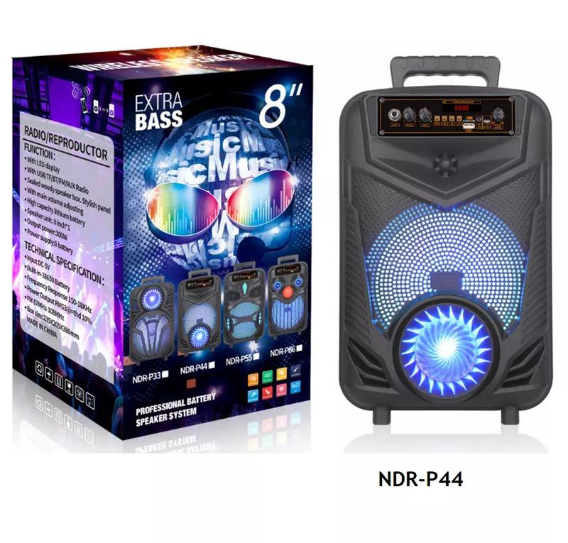 NDR-P44-2.jpg