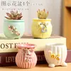 Vaso de Flor Suculenta Cerâmica Preço Especial Liquidação Esmaltado Tamanhos Grande e Pequeno Simples Pastoral Mesa Vasos de Barro Respirável Plantas Leede Estoque