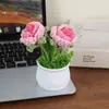 Flor de ganchillo tejida a mano rosa burbuja planta en maceta decoración de escritorio regalo creativo colgante de flor de hilo