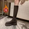 Botas Altas Francesas para Mujer 2026 Nuevo Otoño/Invierno de Gama Alta Modernas de Caña Alta Elásticas Adelgazantes Ajustadas Botas de Jinete
