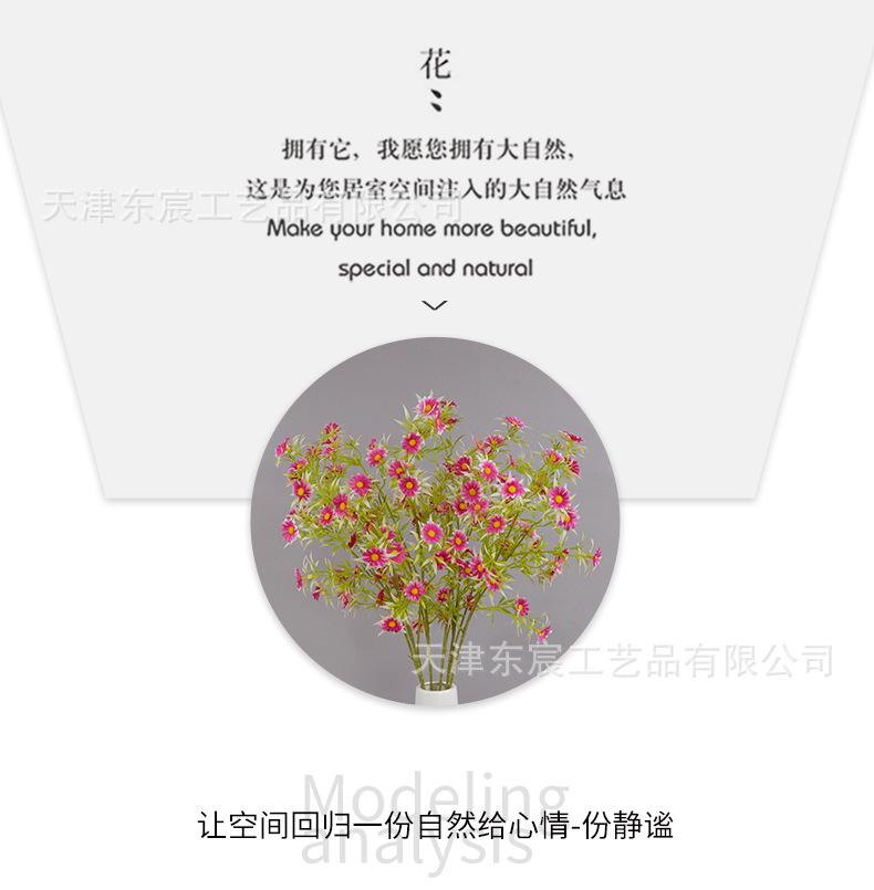详情_05.png