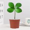 Árvore de Ferro Mexicana Trevo de Quatro Folhas em Vaso Planta Verde de Escritório Jardim de Infância Mesa Flor Emocional