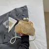 Bolso Bordado Estilo Chino Nuevo, Modelo Nuevo Verano 2026, Elegante Bolso Cruzado con Cadena de Perlas, Bolso de Mano de Alto Valor