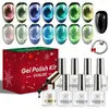 Set de 9 piezas de esmalte en gel ojo de gato vidrioso, esmalte de uñas negro, set de herramientas para nail art, nail art magnético, caja de regalo de Navidad, gel UV transfronterizo