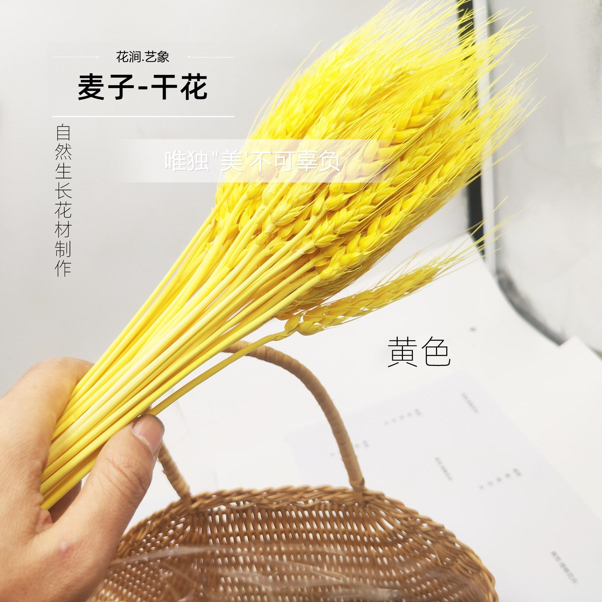 IMG_20210410_130610_副本
