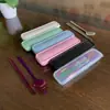 Conjunto Conveniente de Colher e Hashi de Aço Inoxidável em Caixa Transparente Caixa de Armazenamento de Talheres de PP para Estudantes Caixa Portátil para Viagem Conjunto de 2 Peças